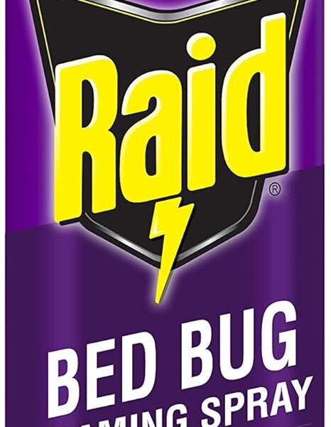 Raid Bed Bug Foaming Spray